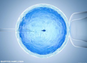 Geri培养箱